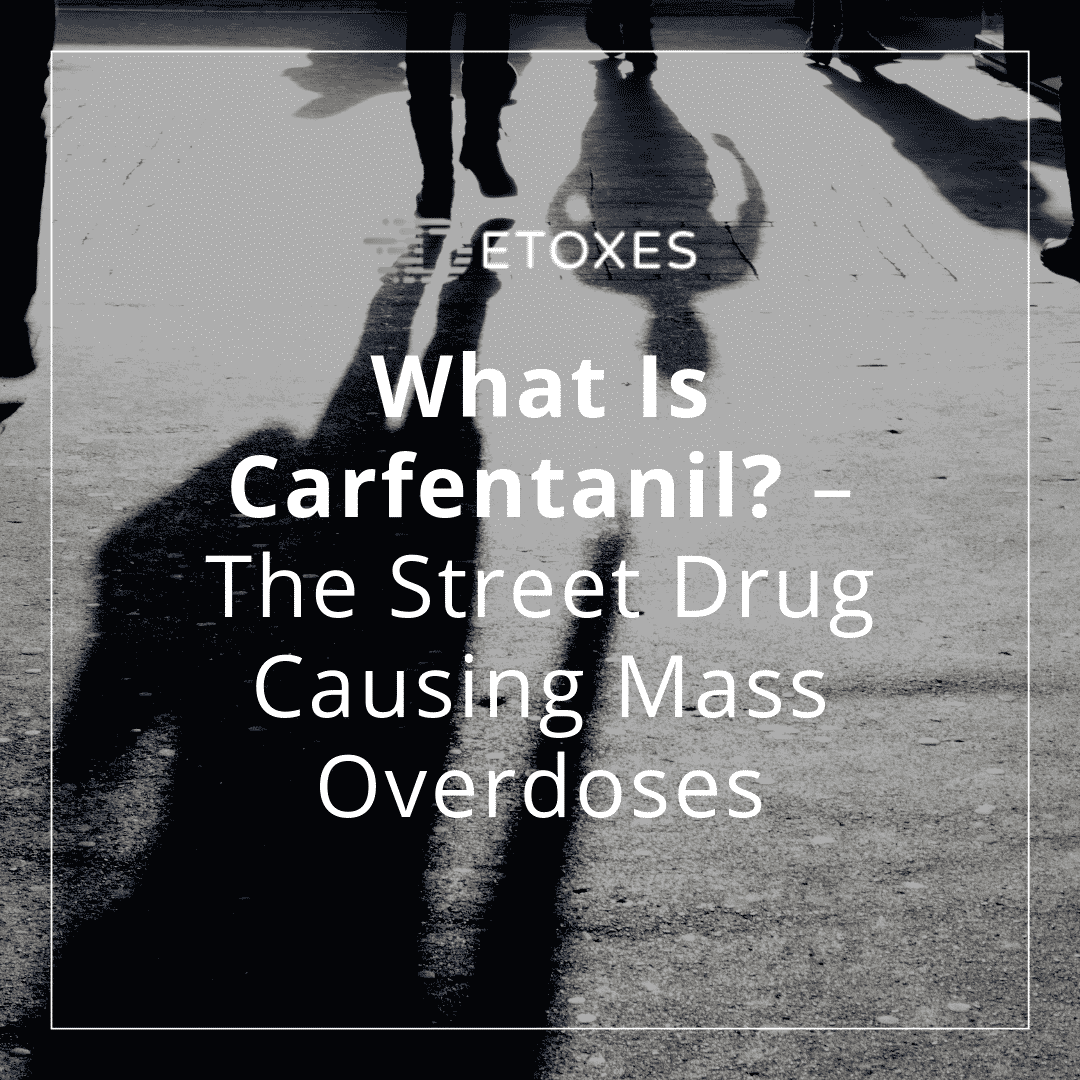 The Dangers of Carfentanil: The Street Drug Causing Mass Overdoses